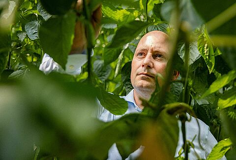 Extraordinaria gama de soluciones con ácaros depredadores gracias a la investigación y la innovación continuas