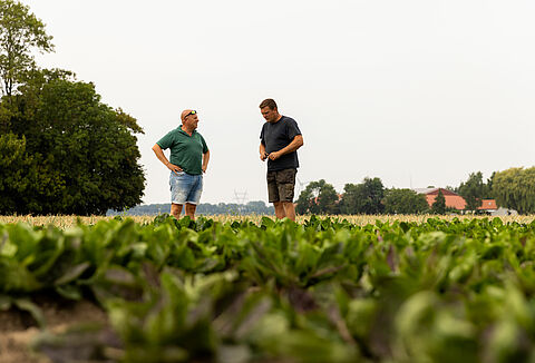 Hacia un futuro sin productos químicos en la agricultura: la visión del agricultor Koen