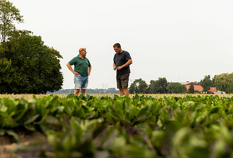 Hacia un futuro sin productos químicos en la agricultura: la visión del agricultor Koen
