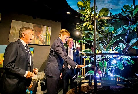 El Rey de los Países Bajos asiste a la celebración del 50 aniversario de Koppert Biological Systems