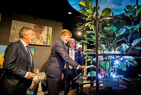 El Rey de los Países Bajos asiste a la celebración del 50 aniversario de Koppert Biological Systems