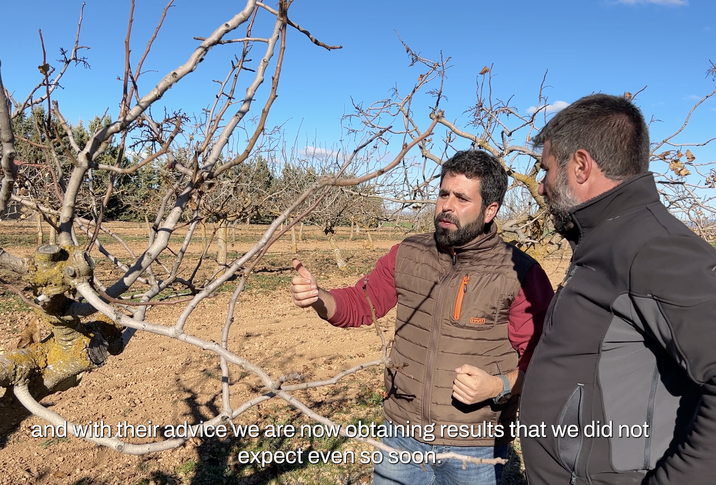 Control de enfermedades en pistacho con el biofungicida Trianum