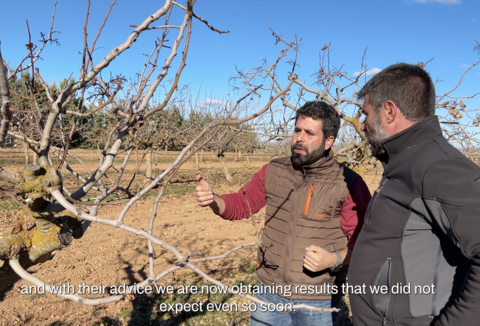 Control de enfermedades en pistacho con el biofungicida Trianum