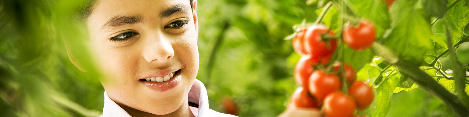 Thripor-L Ficha Técnica