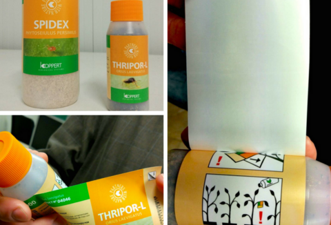 Las nuevas etiquetas funcionales de Koppert identifican los focos de suelta de enemigos naturales