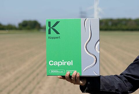 Nematodos beneficiosos para el control de la mosca de la cebolla