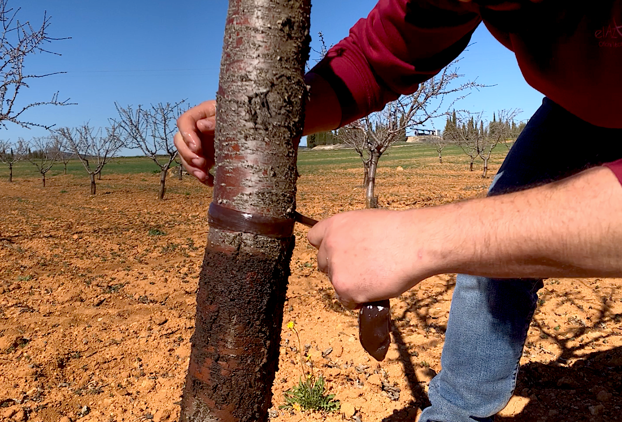 Pegafit® obtiene la certificación para su uso en agricultura ecológica