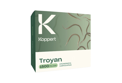Troyan