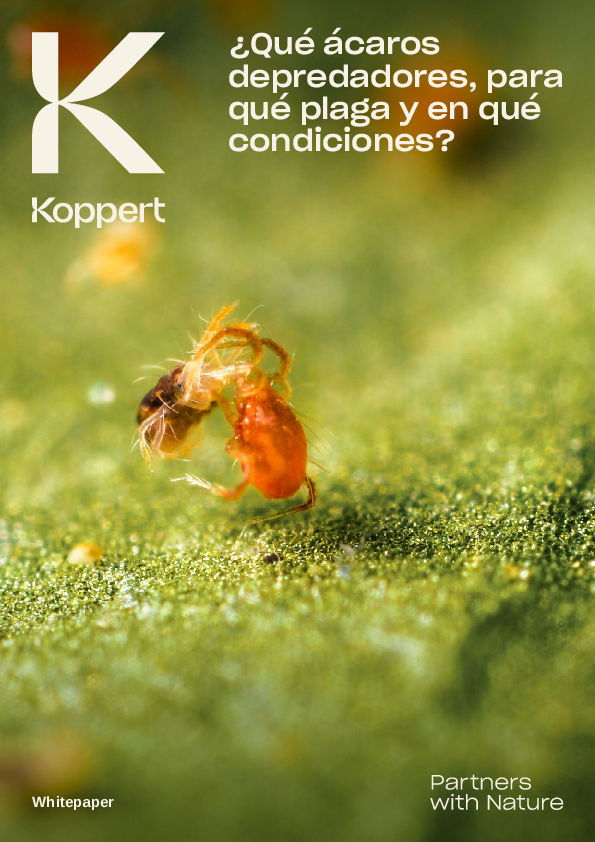 Dosier de Ácaros Depredadores