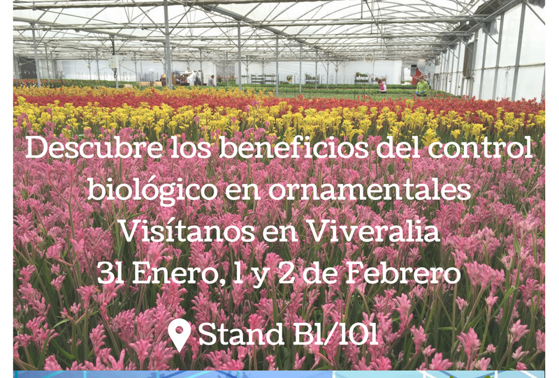 Koppert muestra en Viveralia los beneficios del control biológico en ornamentales
