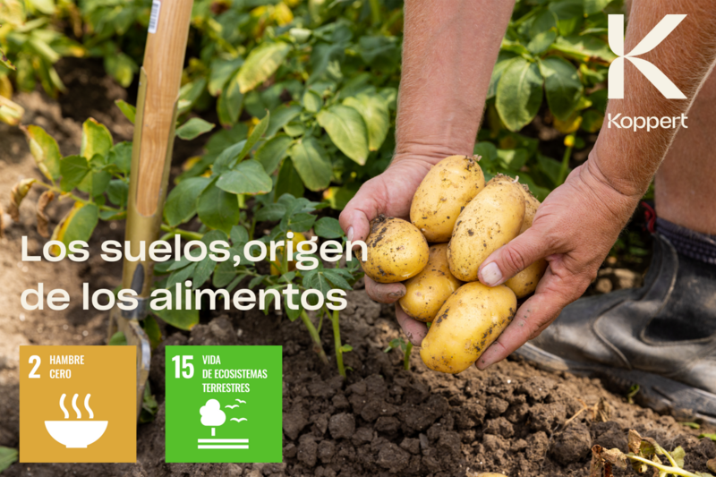 Los suelos son el origen de los alimentos.