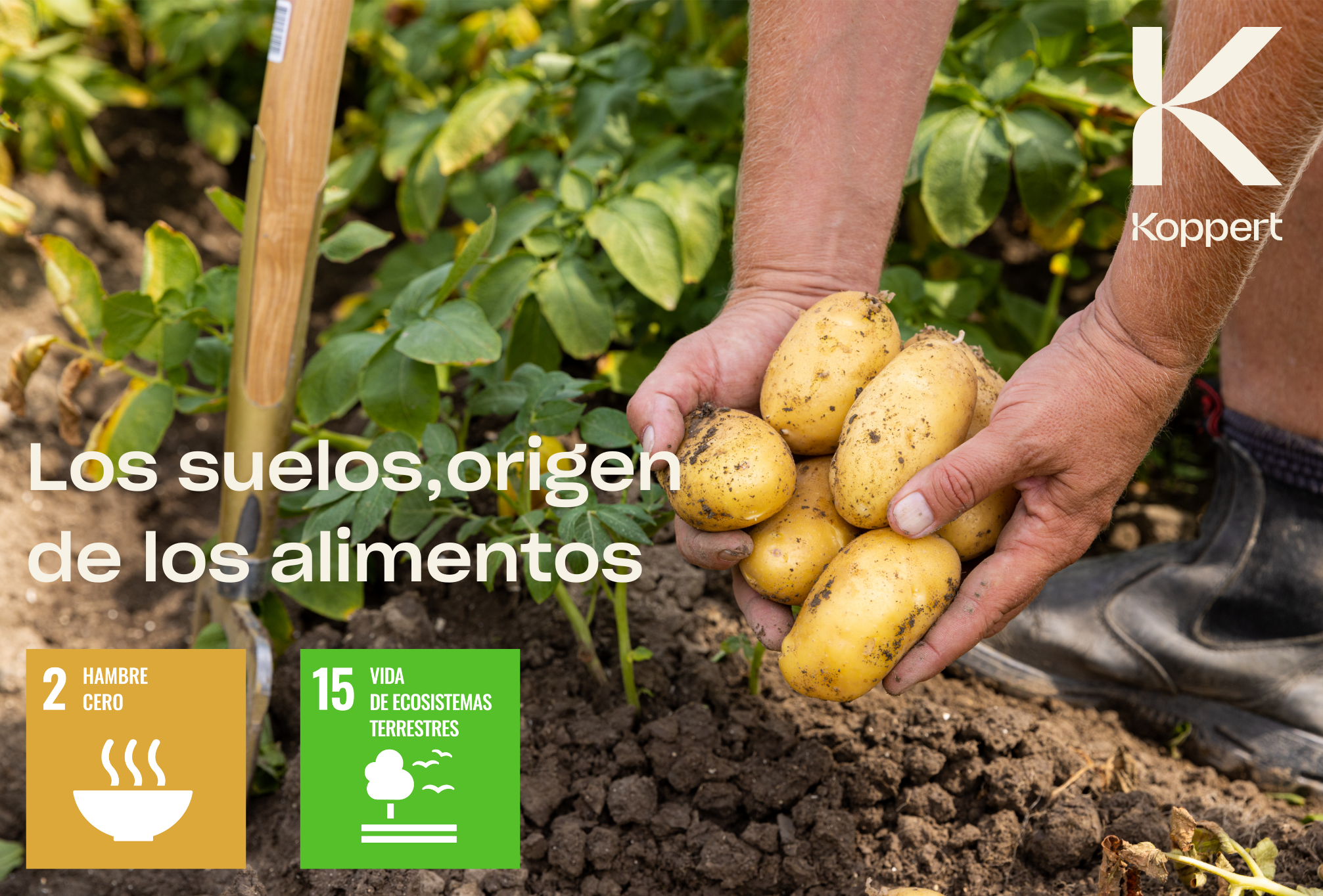 La pérdida de nutrientes del suelo amenaza la producción de alimentos