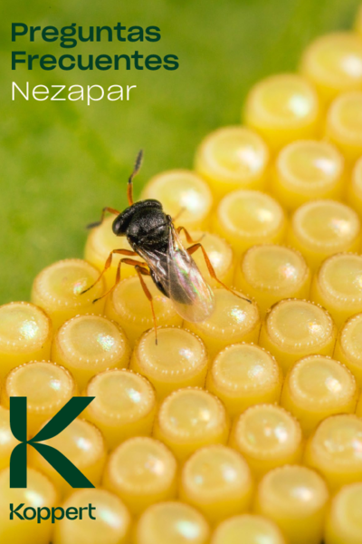 FAQ Nezapar