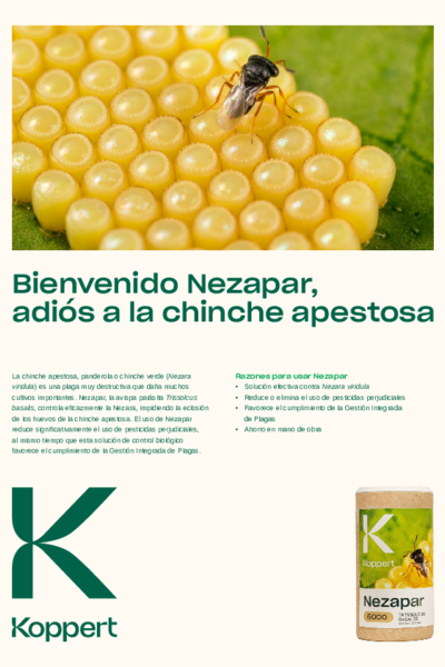Efectos de Nezapar