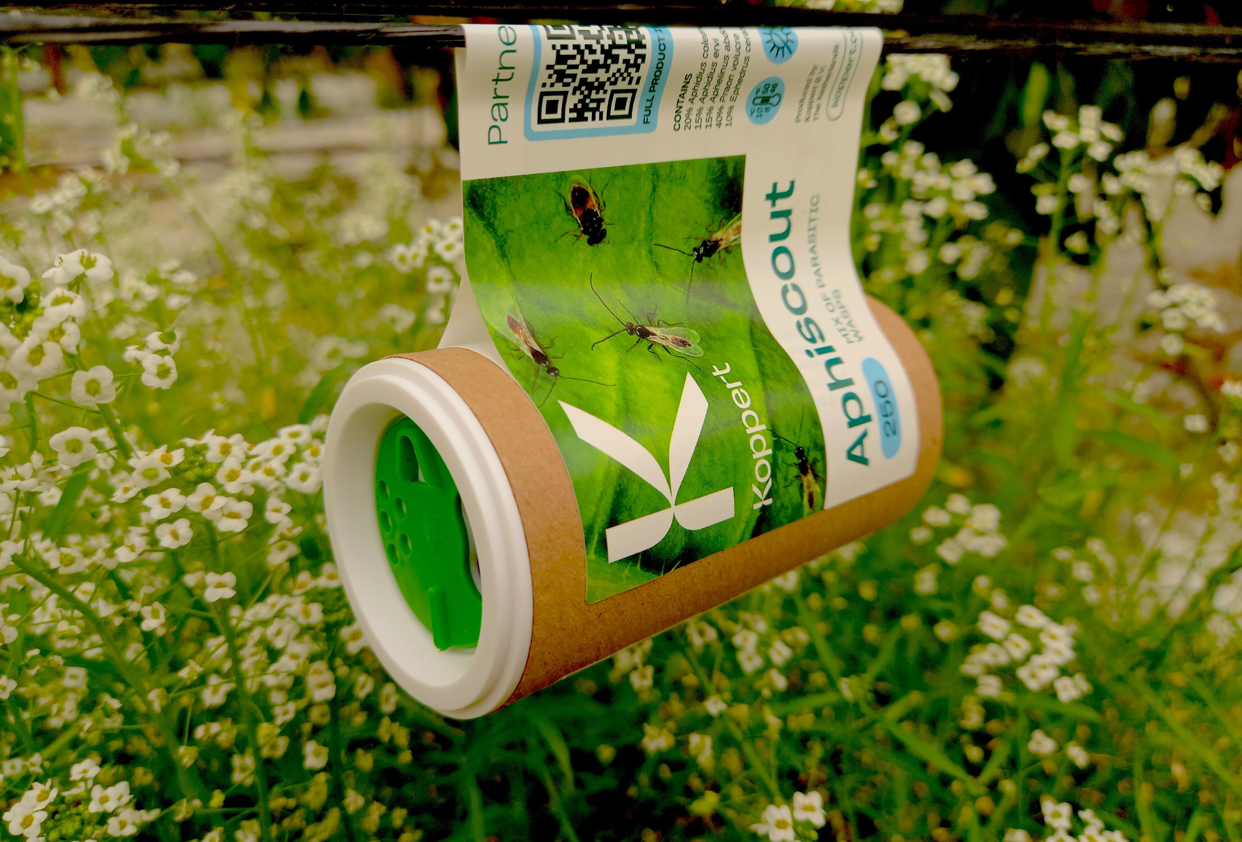 Día Mundial de Cero desechos: Koppert amplía el uso de materias primas reciclables