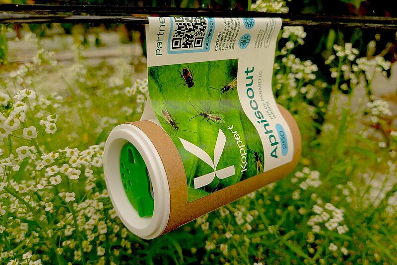Aphiscout contra pulgón en formato de tubo de cartón 100% reciclable