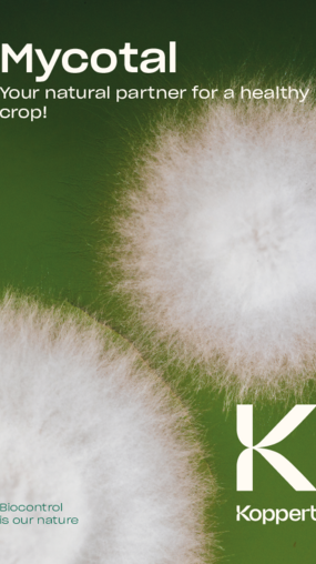 Mycotal Benefits & Trial Results