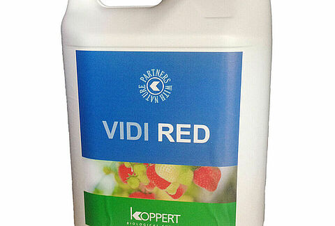 Vidi Red