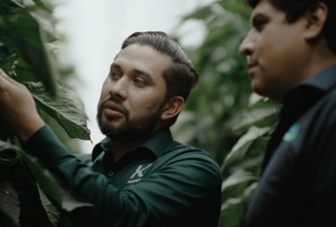 La Hacienda Fresh aumenta la rentabilidad de los cultivos gracias al control biológico