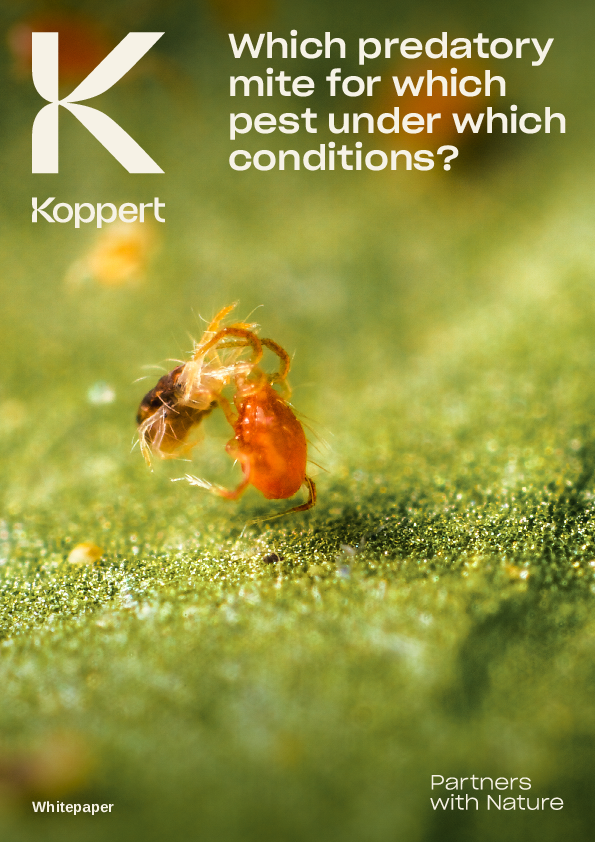 Predatory Mites Whitepaper