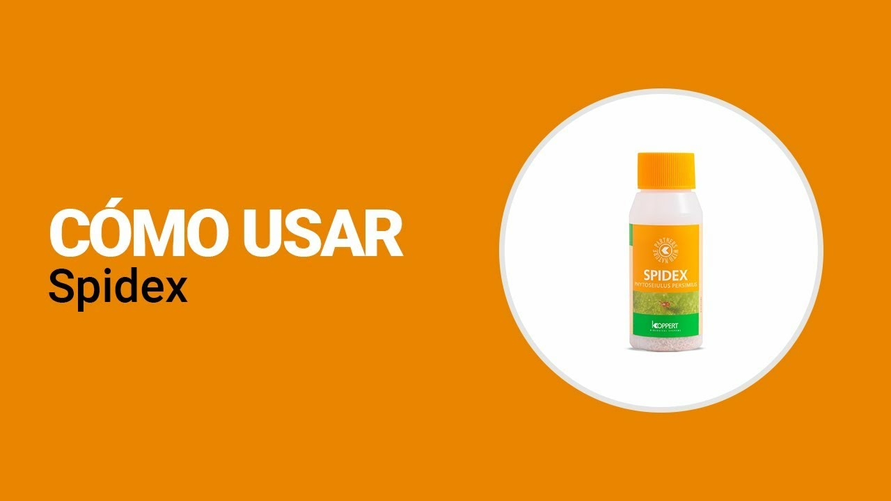 Cómo usar Spidex de Koppert