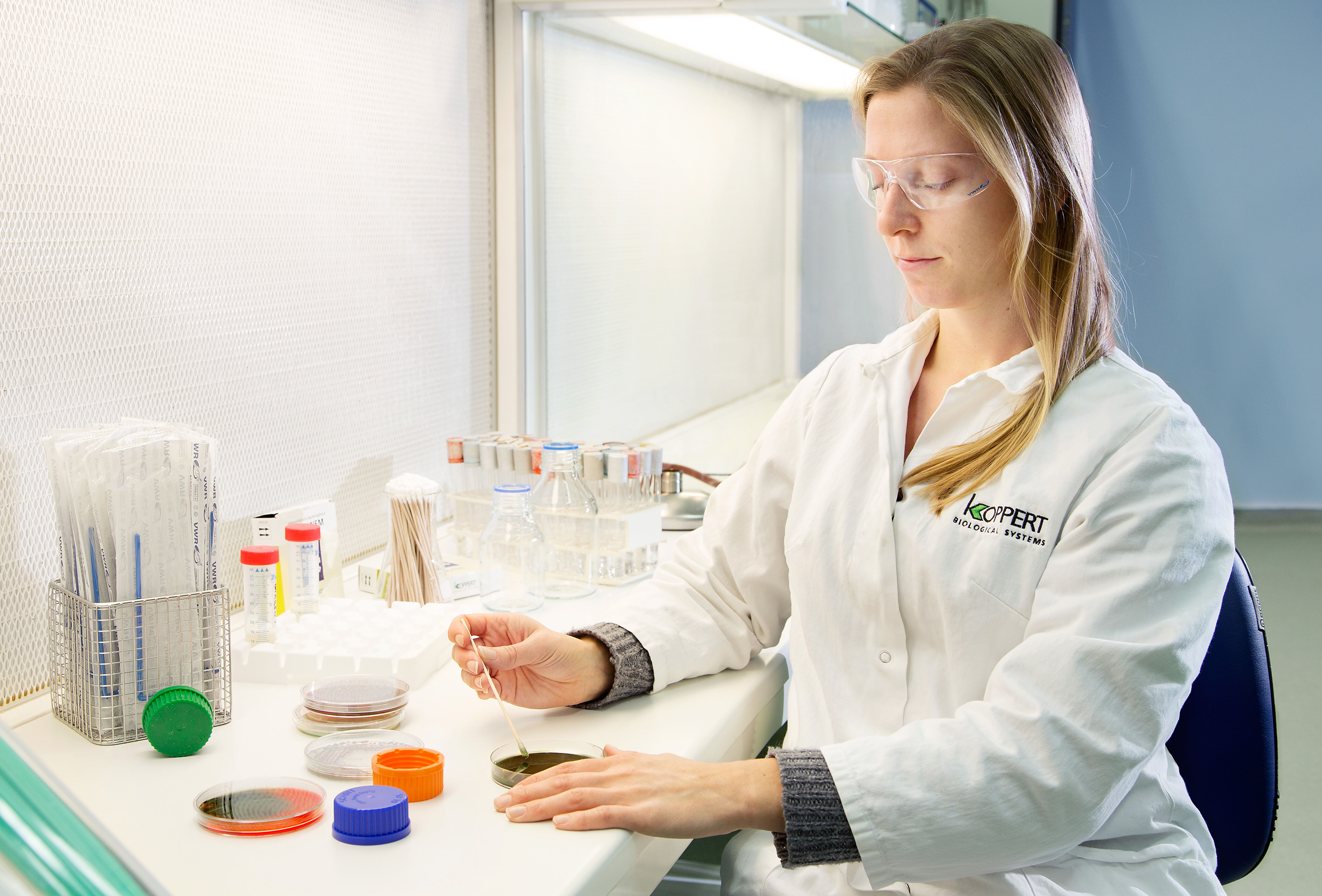 Trianum de Koppert, la opción más eficaz para comenzar la campaña con un cultivo fuerte y un suelo sano