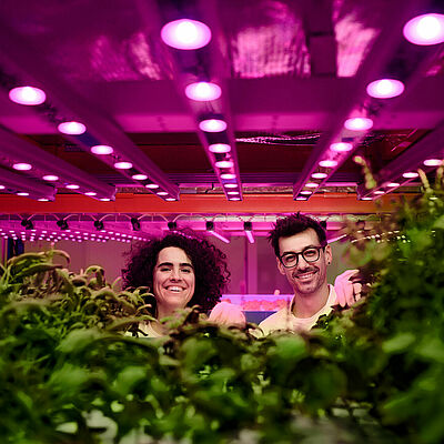 Workers,Looking,At,Camera,On,Aquaponic,Farm,,Sustainable,Business,And