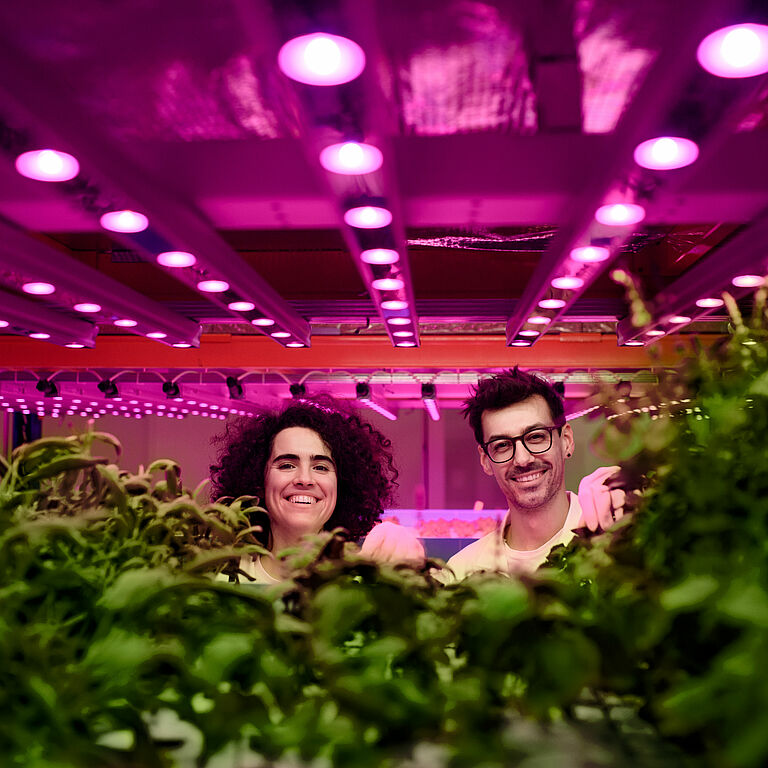 Workers,Looking,At,Camera,On,Aquaponic,Farm,,Sustainable,Business,And
