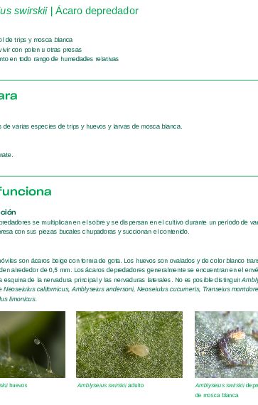 Swirski Ulti-Mite Ficha Técnica