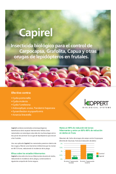 Capirel - Folleto