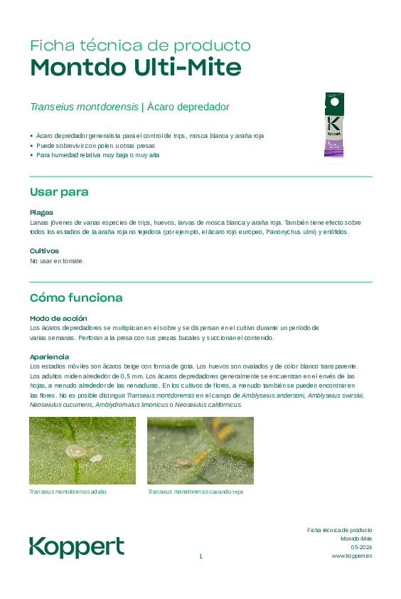 Montdo Ulti-Mite - Ficha Técnica