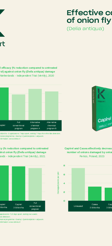 Control eficaz de la mosca de la cebolla y de la judía