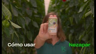 ¿Cómo se usa Nezapar? Avispa parasitoide Trissolucs basalis para control biológico de Nezara.