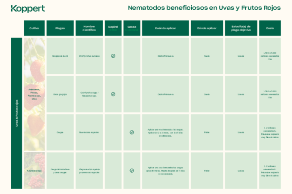 Nematodos beneficiosos - Frutos Rojos