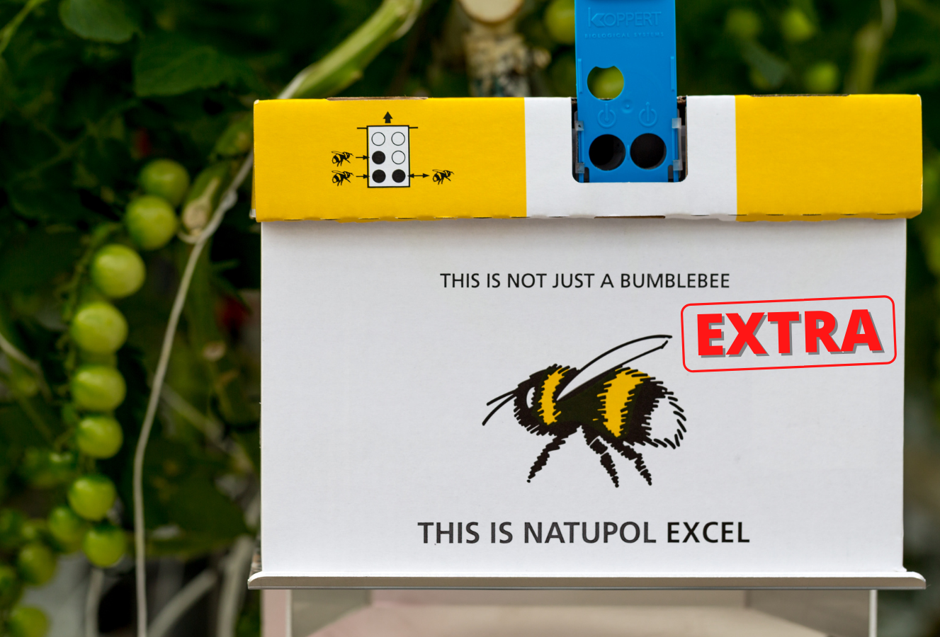 Natupol Excel Extra: más abejorros y nidos más desarrollados