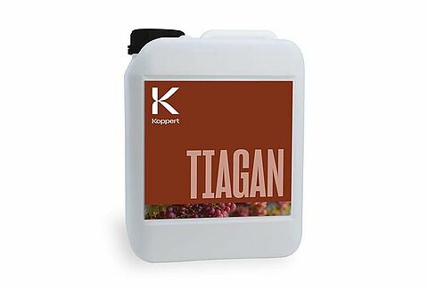 Tiagan