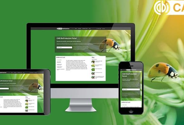 El portal web de bioprotección de cultivos CABI llega a España
