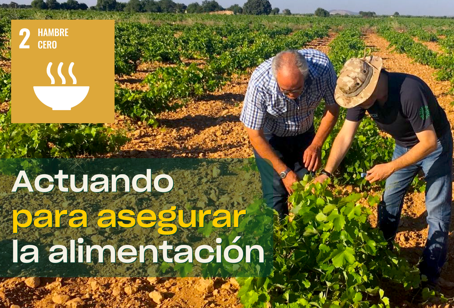 Prevenir la pérdida y el desperdicio de alimentos: medidas para asegurar la alimentación