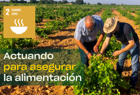 Prevenir la pérdida y el desperdicio de alimentos: medidas para asegurar la alimentación