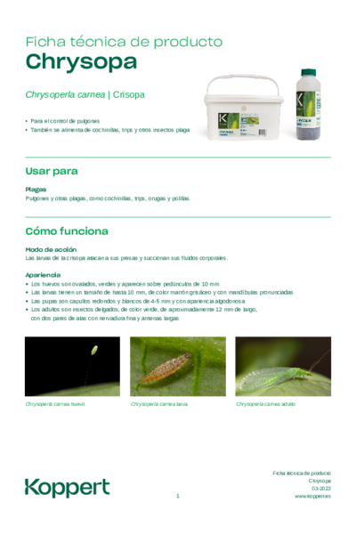 Chrysopa Ficha Técnica