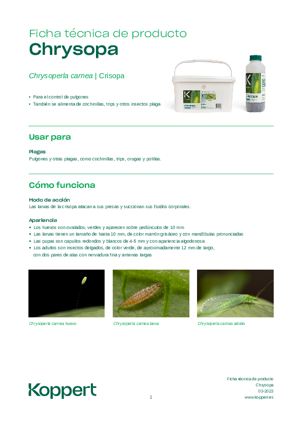 Chrysopa Ficha Técnica