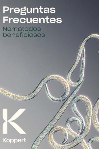 Preguntas Frecuentes - Nematodos beneficiosos Koppert