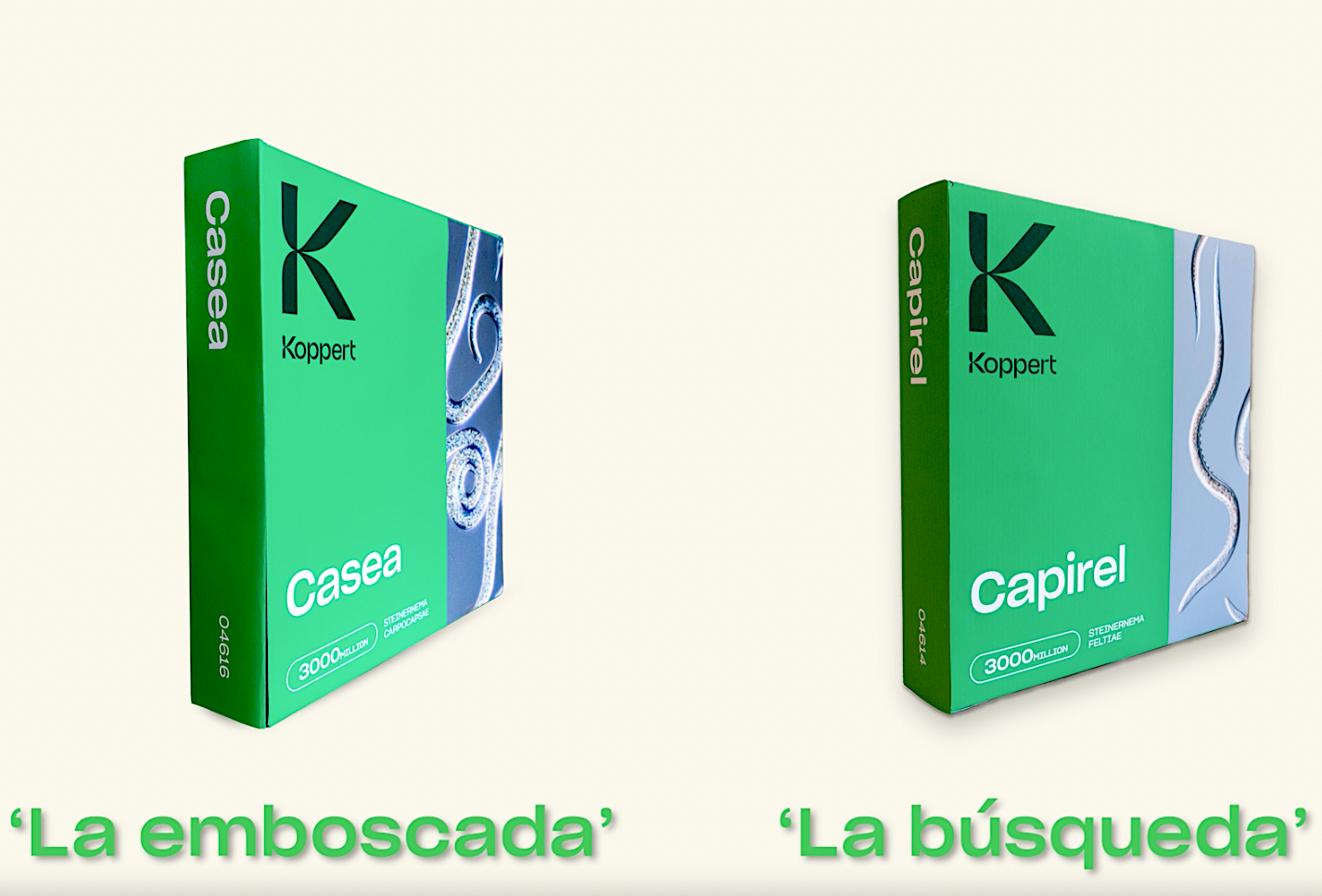 Nematodos beneficiosos: así cazan a su presa.