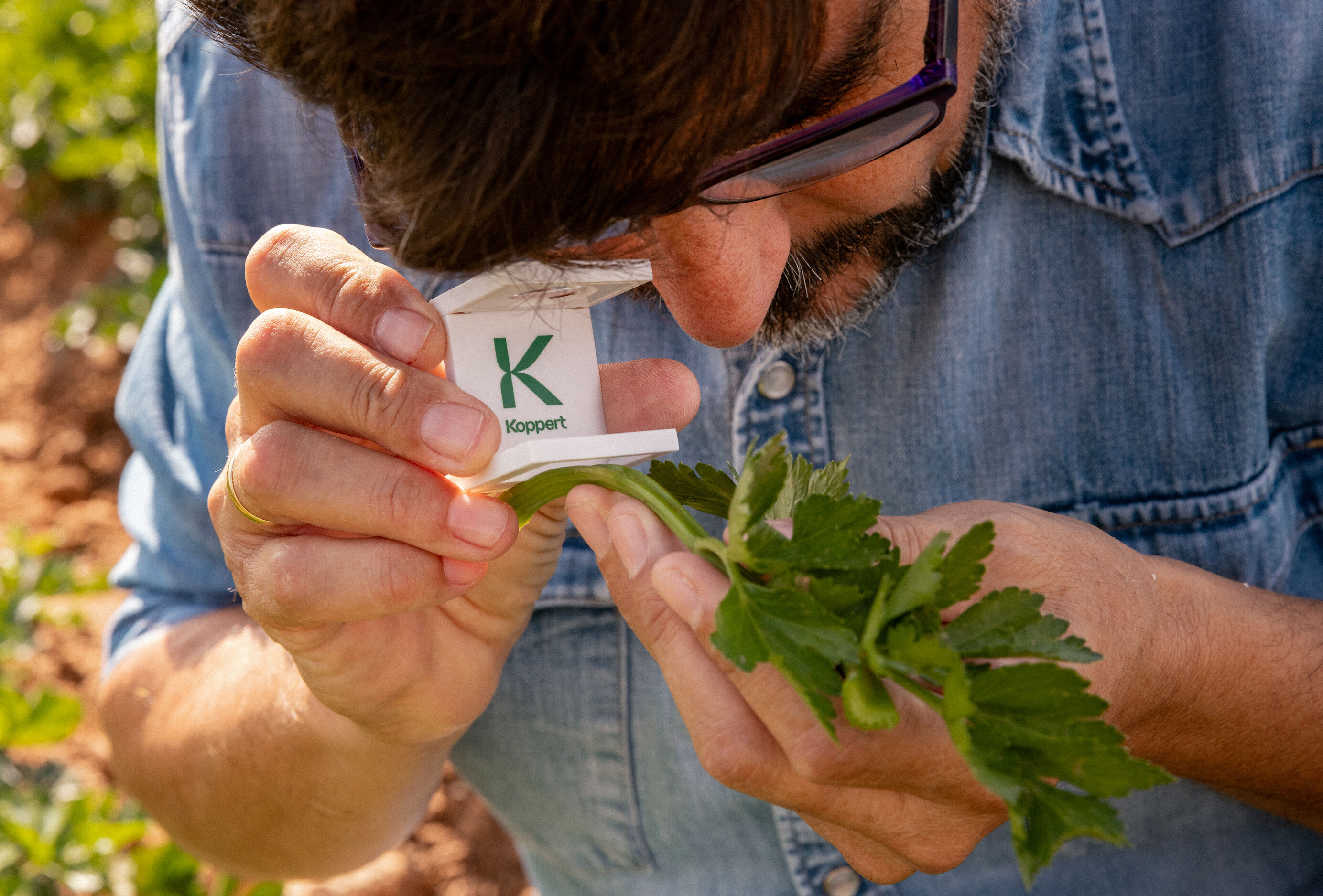 Las seis ventajas del control biológico que debes conocer para mejorar el control de plagas y enfermedades