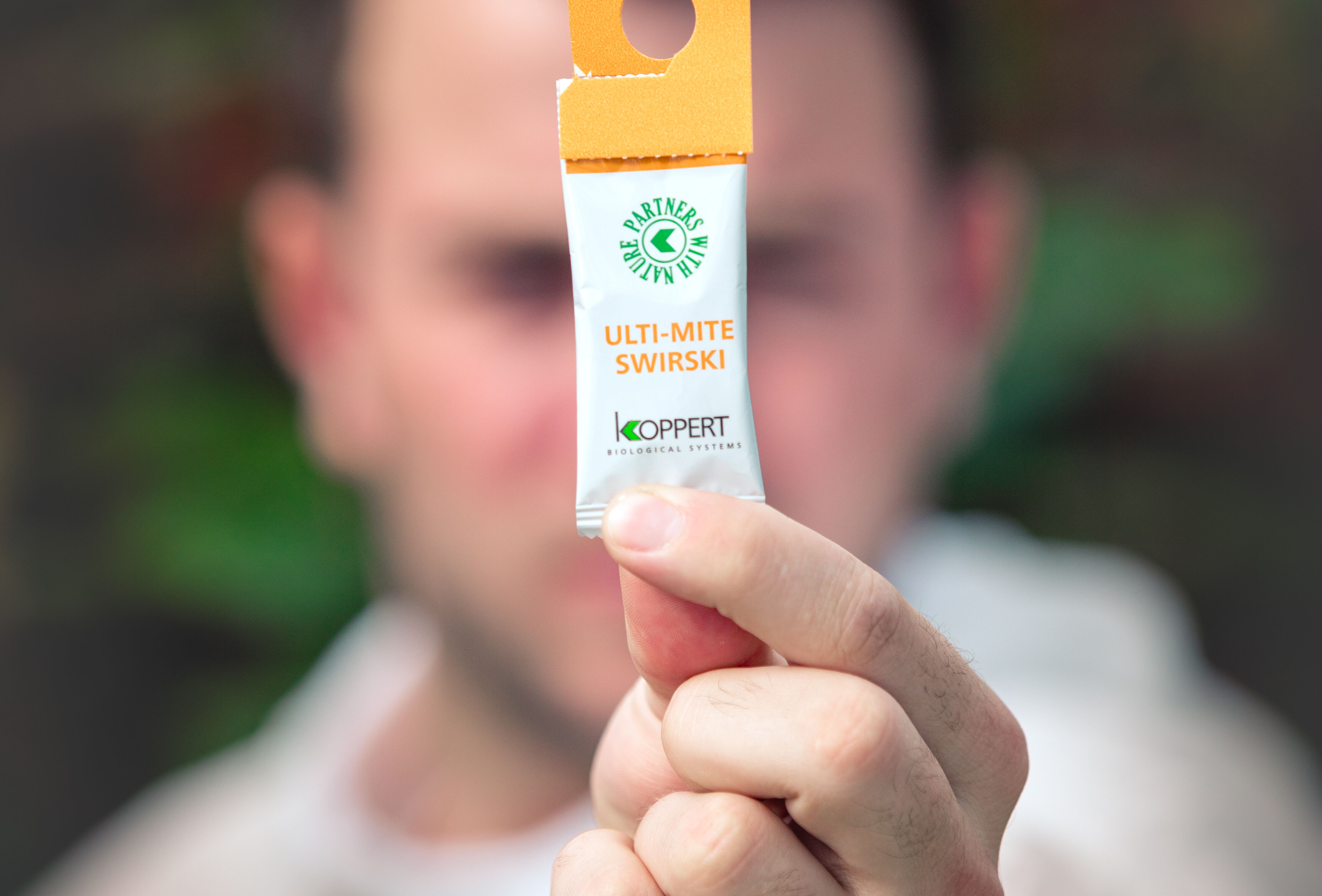 La población de 'Swirski' en pepino crece 30 veces más con el uso de 'Carpoglyphus' como alimento extra