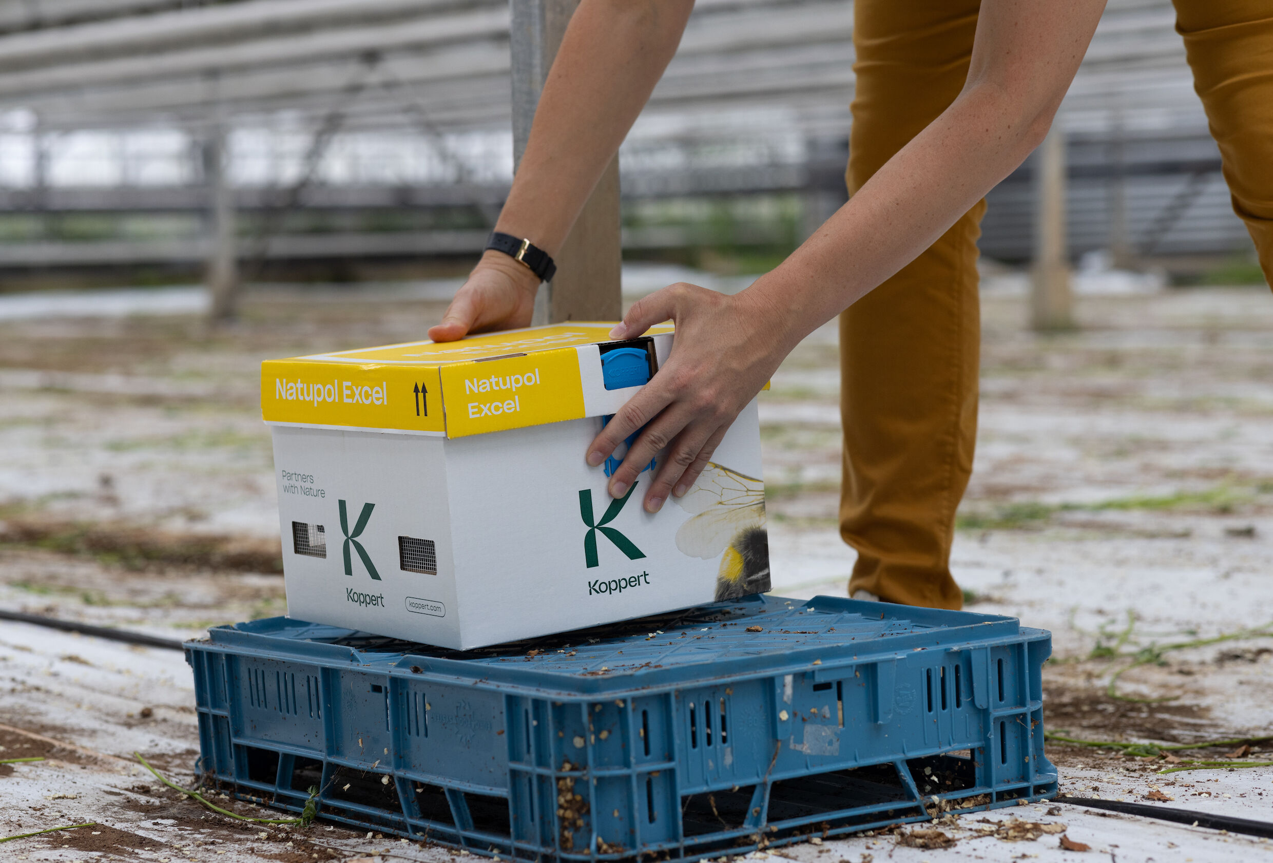 Las colmenas Natupol, ahora con menos plástico y mejor rendimiento con temperaturas extremas