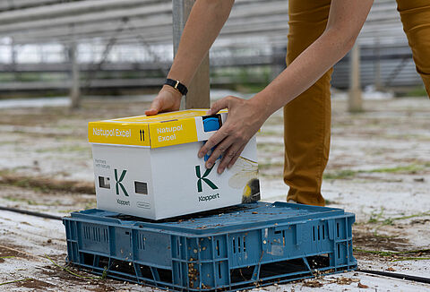 Las colmenas Natupol, ahora con menos plástico y mejor rendimiento con temperaturas extremas