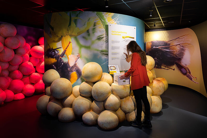 Experience_Centre_Koppert_BIological_Systems_Koppert_BIological_Systems_BIological_Systems-1.jpg