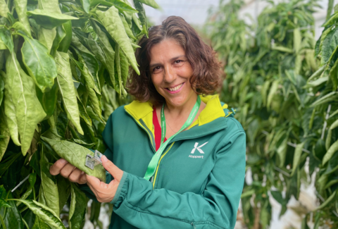 Día de la Tierra : Koppert mejora la salud del planeta