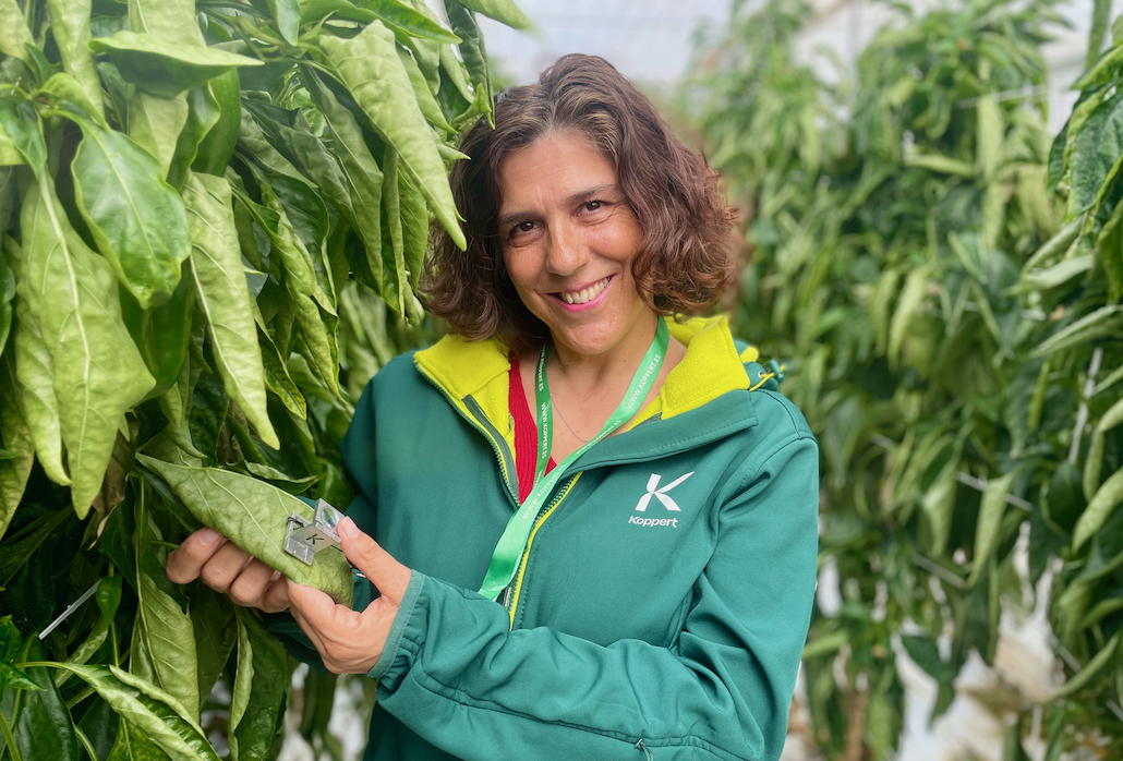 Día de la Tierra : Koppert mejora la salud del planeta